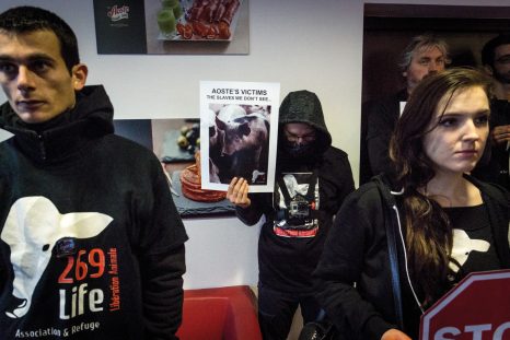 Des activistes de l’association 269 Life-Libération Animale