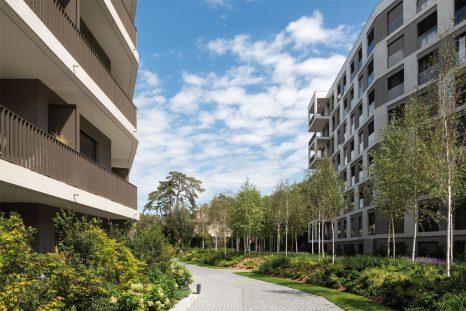 La forêt de bouleaux du paysagiste Michel Desvigne sépare les deux immeubles dessinés par l’architecte Benoît Frignani.