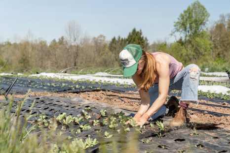 De plus en plus de jeunes issus d’exploitations agricoles ou néoruraux veulent apprendre le métier de paysan.